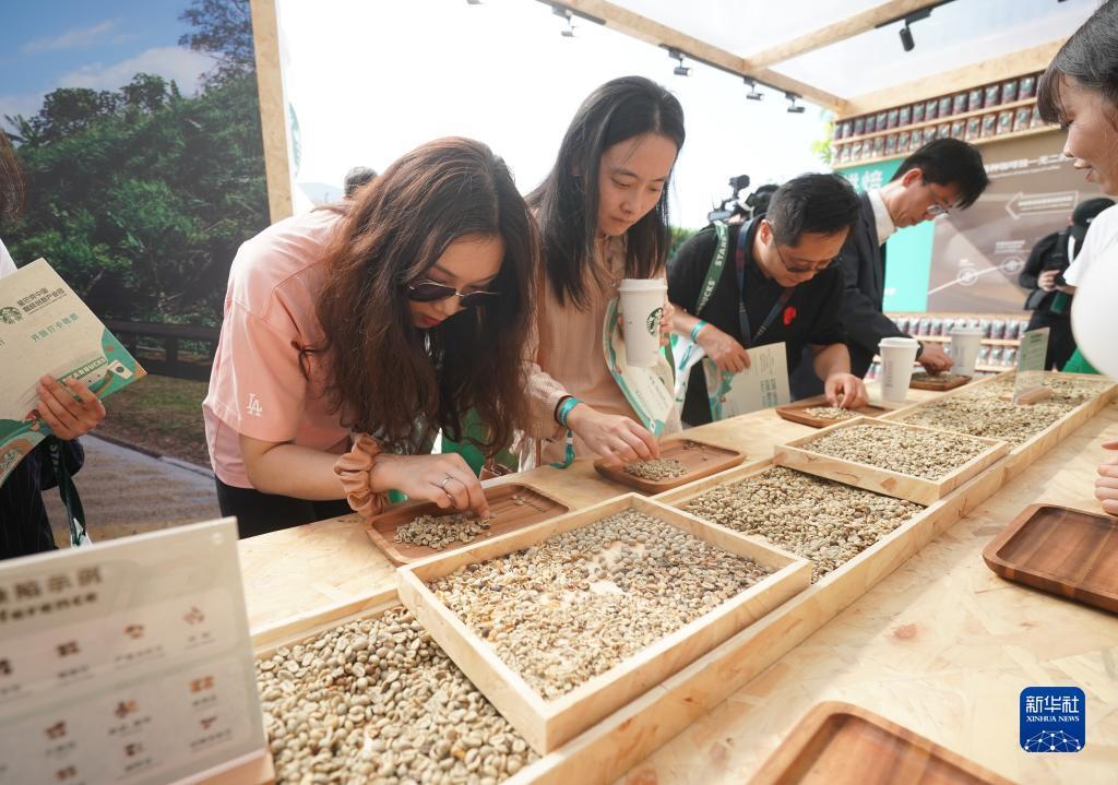 问鼎下载入口